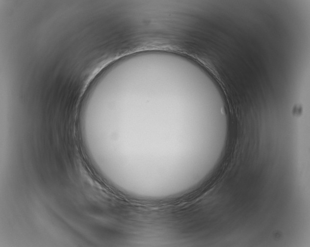 X0000114080579200910051002