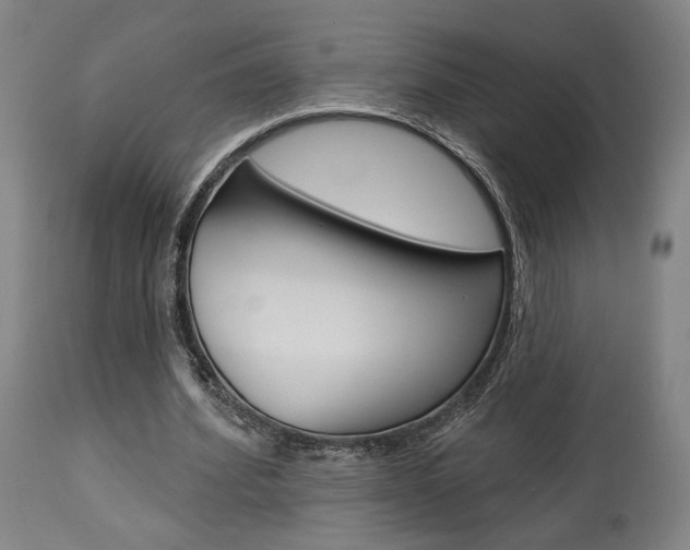 X0000114080580200910051002
