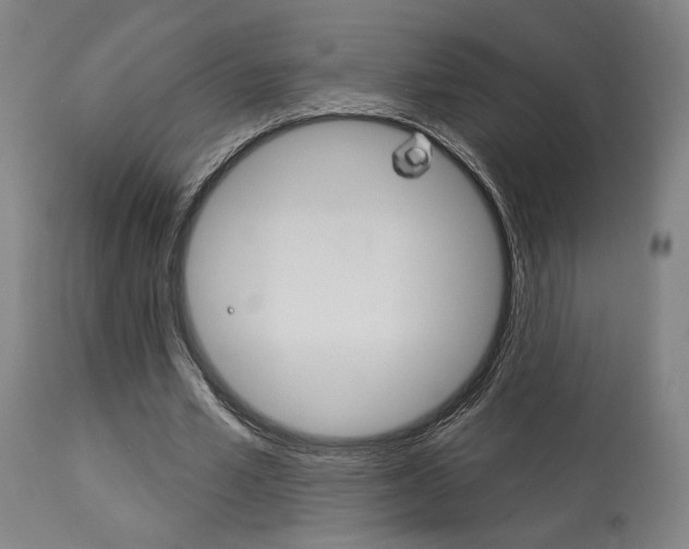 X0000114080581200910051002