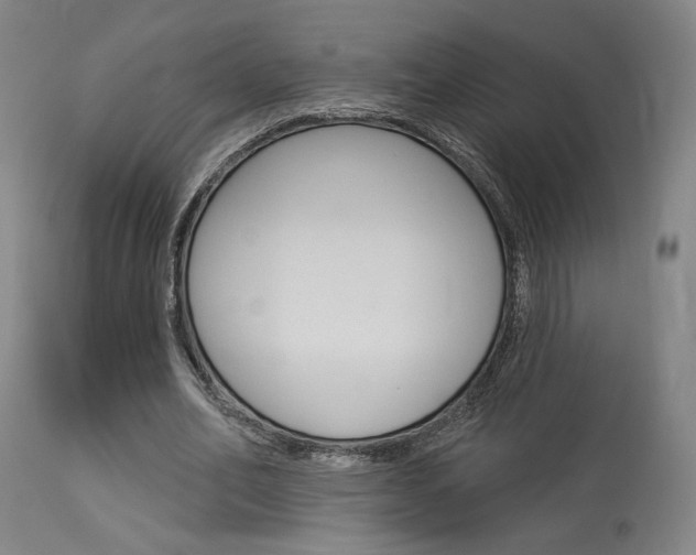 X0000114080582200910051002