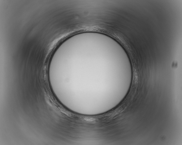 X0000114080583200910051002