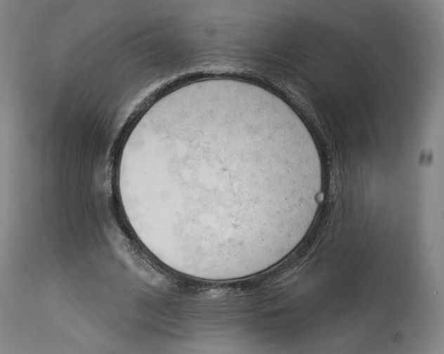 X0000114080584200910051002