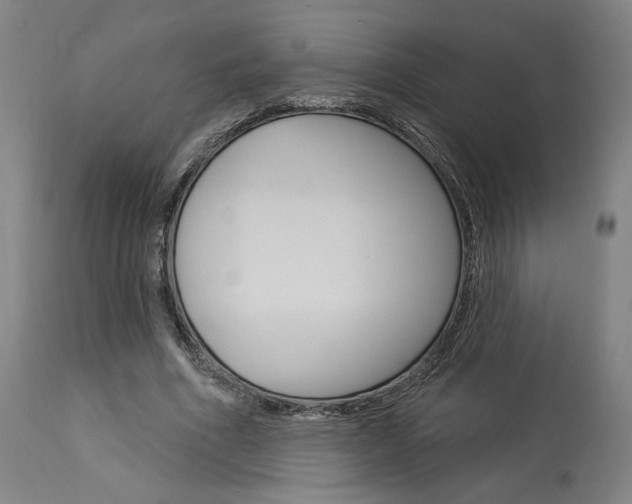 X0000114080586200910051002