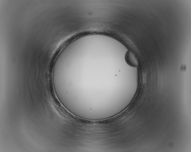 X0000114080588200910051002