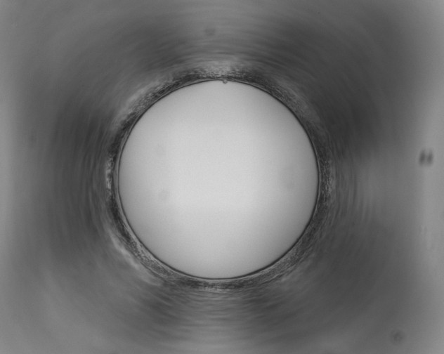 X0000114080590200910051002