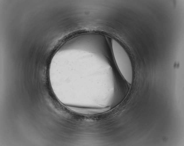X0000114080592200910051002