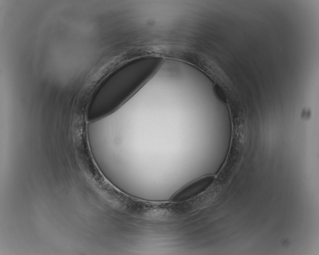X0000114080593200910051002