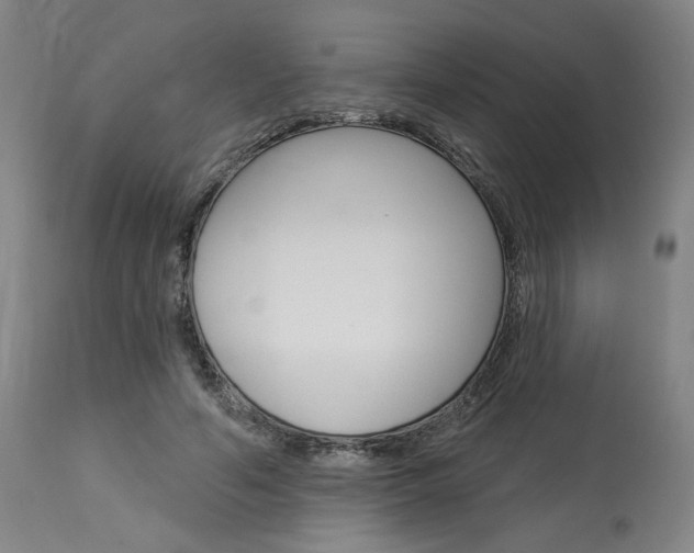 X0000114080594200910051002