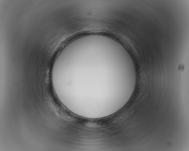 X0000114080596200910051002