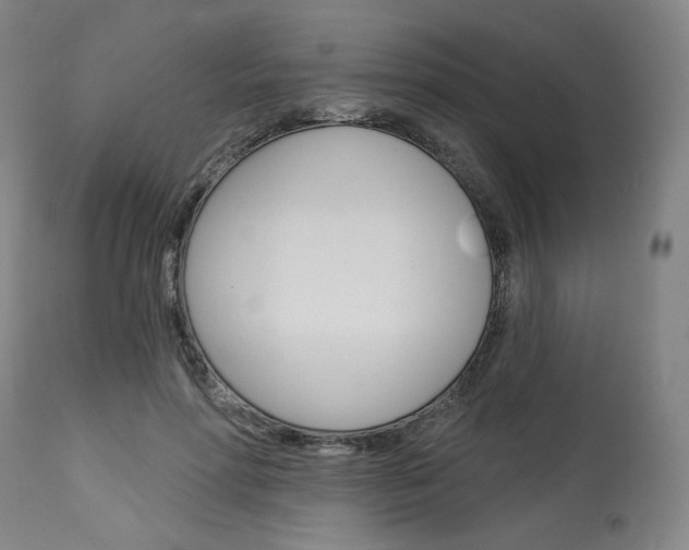 X0000114080598200910051002