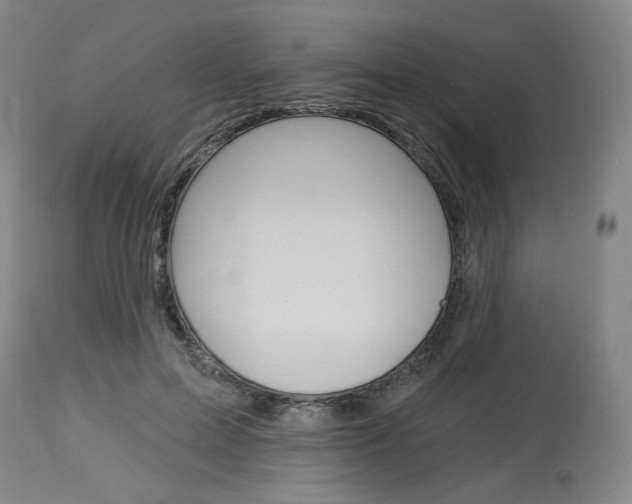 X0000114080599200910051002