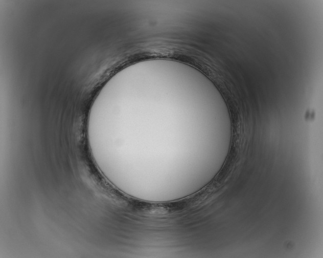 X0000114080600200910051002