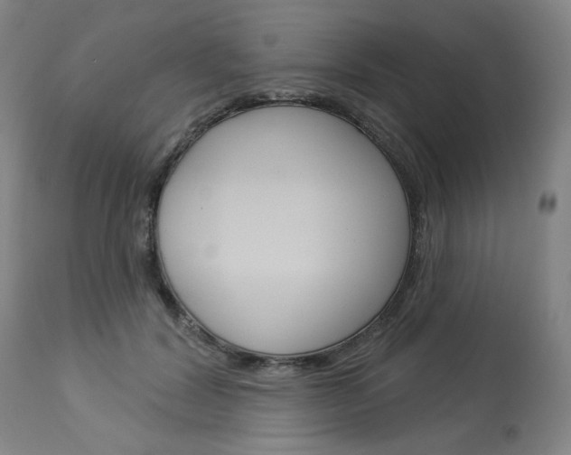 X0000114080604200910051002