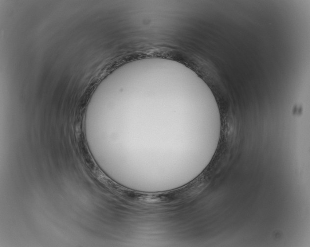 X0000114080607200910051002