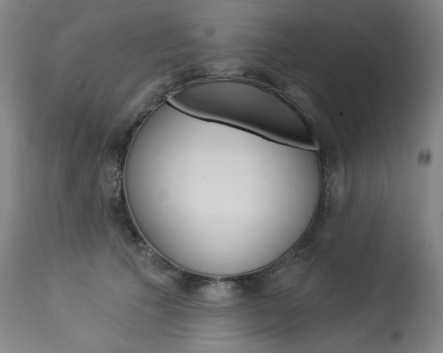 X0000114080609200910051002