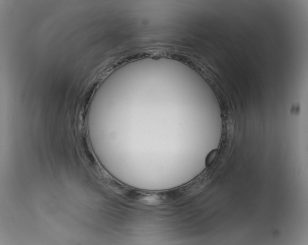 X0000114080611200910051002
