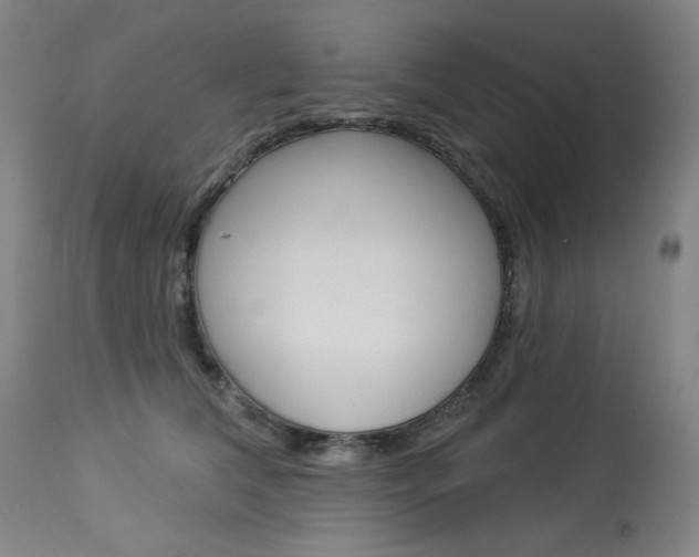 X0000114080612200910051002