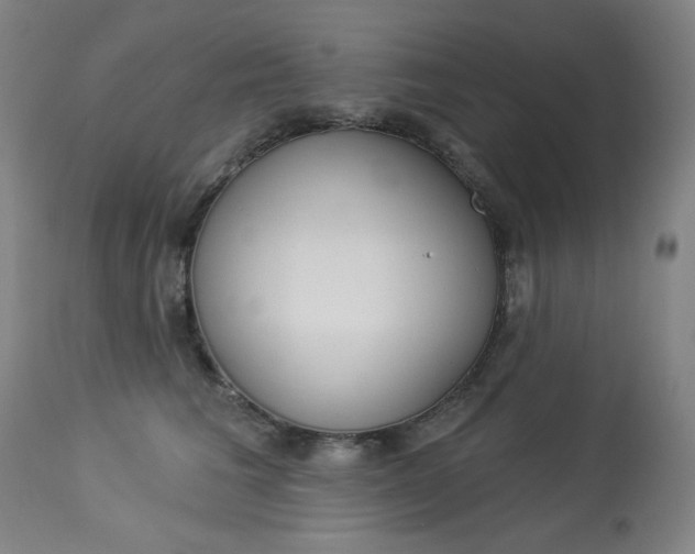 X0000114080613200910051002