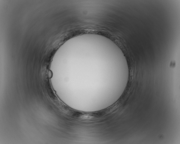 X0000114080614200910051002
