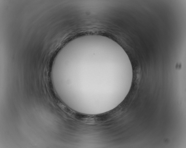 X0000114080615200910051001