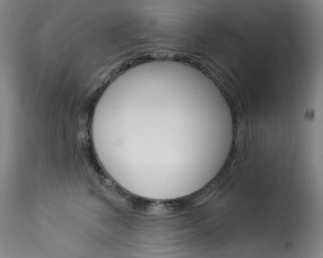 X0000114080616200910051001