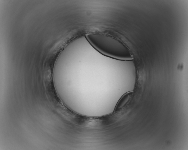 X0000114080617200910051001