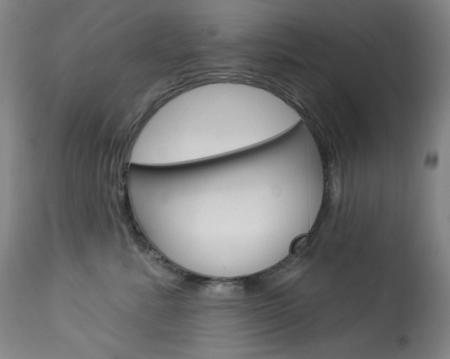 X0000114080619200910051001