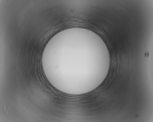 X0000114080621200910051001