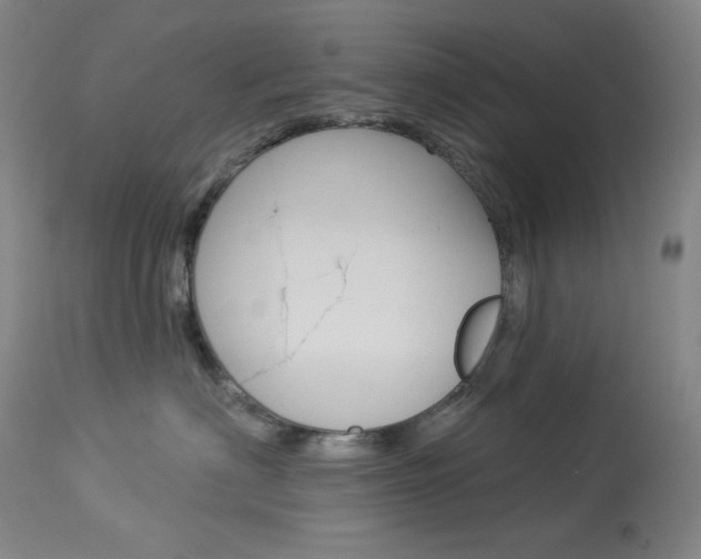 X0000114080622200910051001