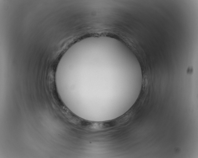 X0000114080623200910051001