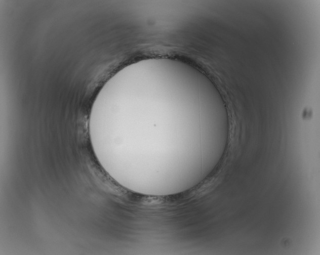 X0000114080624200910051001