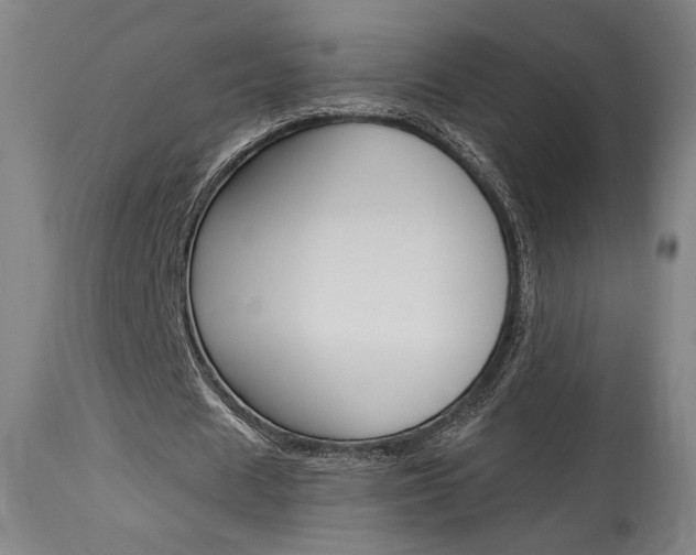 X0000114080625200910051000