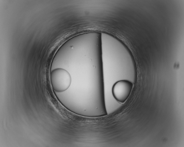 X0000114080626200910051000