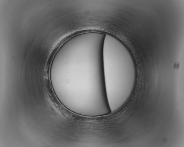 X0000114080628200910051001