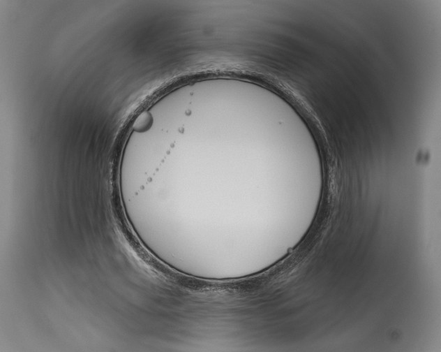X0000114080629200910051001