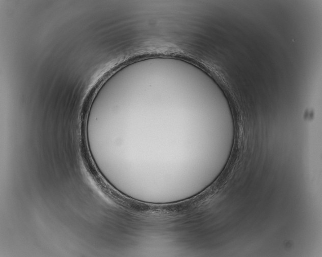 X0000114080630200910051001