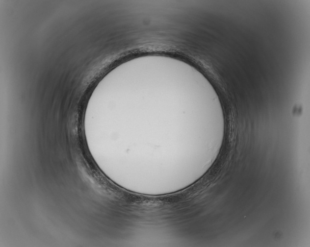 X0000114080631200910051001