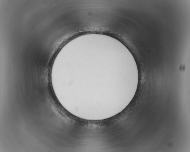 X0000114080632200910051001