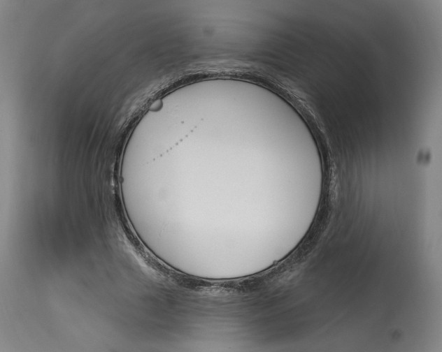 X0000114080633200910051001