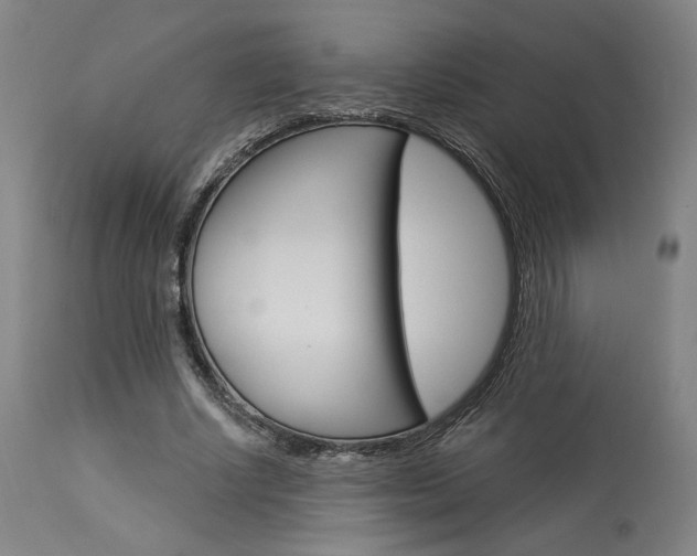 X0000114080634200910051001