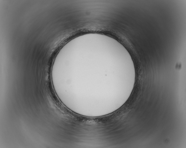 X0000114080635200910051001