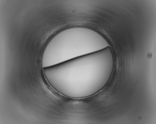 X0000114080637200910051001