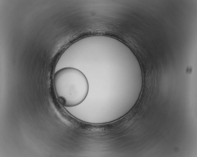 X0000114080638200910051001