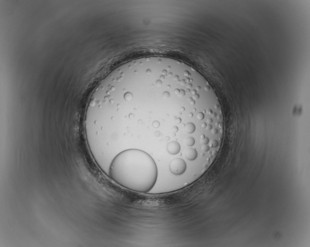 X0000114080639200910051001