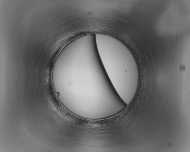 X0000114080640200910051001