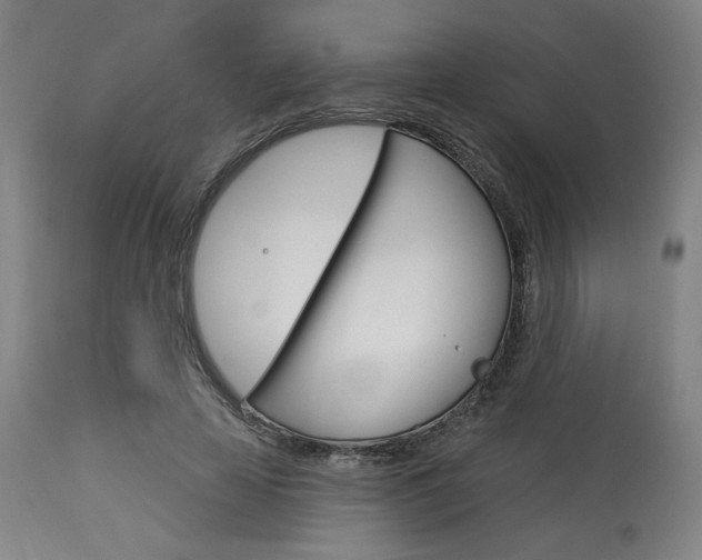 X0000114080641200910051001