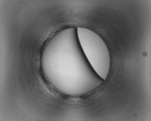 X0000114080642200910051001