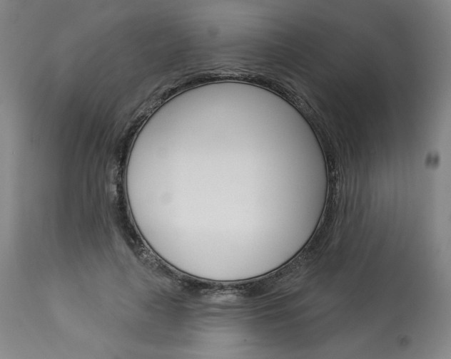 X0000114080643200910051001