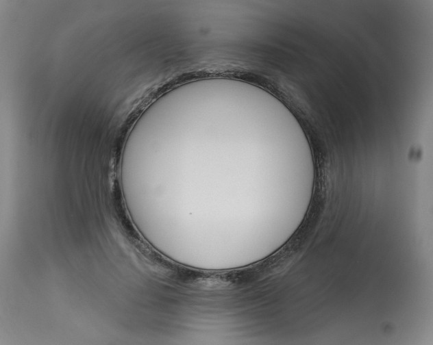 X0000114080644200910051001