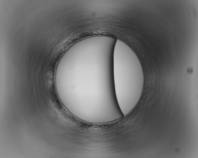 X0000114080648200910051001